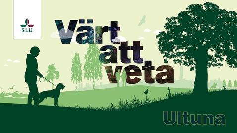 Thumbnail for Värt att veta: Biologisk mångfald i städer – för vem, varför och hur?